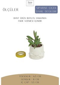 Evene Dekoratif Minik Kaktüs Deniz Ürünlü Model Saksı Beyaz