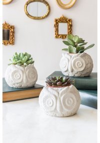 ArmaHouse Beton Baykuş Motifli 3 Adet Sukulent Saksı Beyaz