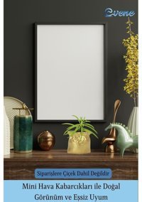 Evene Mini Sukulent Kaktüs Kese Model Saksı Altın