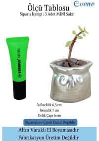 Evene Mini Çiçek Küçük Sukulent Kaktüs 3 Adet Set Kese Model Saksı Gümüş