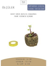 Evene Dekoratif Minik Kaktüs Altıgen Model Saksı Altın Eskitme