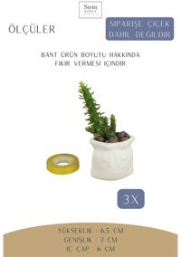 Evene Dekoratif Minik Kaktüs 3 Adet Kese Model Saksı Beyaz