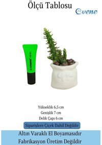 Evene Mini Sukulent Kaktüs Kese Model Saksı Beyaz