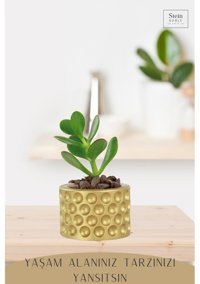 Evene Dekoratif Minik Kaktüs Puantiye Model Saksı Altın