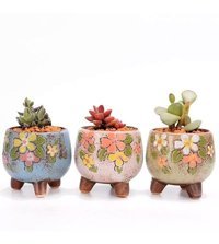 Florada Retro Sukulent Kaktüs Saksı 7 Adet