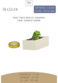 Evene Dekoratif Minik Kaktüs Dörtgen Model Saksı Beyaz