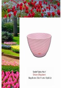 Montesev Sedef Çiçek 0.65 lt Saksı Pembe