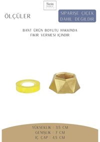 Evene Dekoratif Minik Kaktüs Poly Model Saksıü Altın