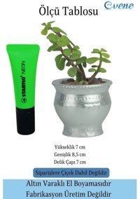 Evene Saksı Kaktüs Saksısı Dekoratif Saksı Gümüş