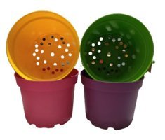 Tuğel Flowers 8 Adet Çok Renkli Plastik 2 Adet Alt Tabaksız Saksı