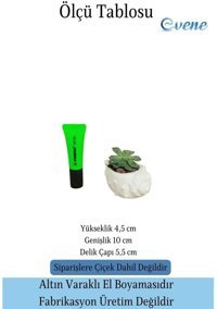 Evene Mini Çiçek Küçük Sukulent Kaktüs Deniz Kabuğu Model Saksı Beyaz