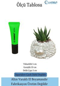 Evene Mini Çiçek Küçük Sukulent Kaktüs Sevimli Koyun Model Saksı Gümüş