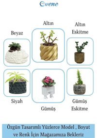 Evene Mini Çiçek Saksı Sukulent Kaktüs Puantiyeli Model Saksı Altın