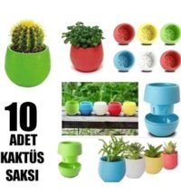 Saban Plastik Mini 10 Adet Saksı Çok Renkli