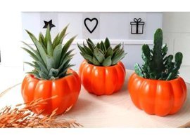 Florada El Yapımı Kabak Tasarımlı Mini Dekoratif Saksı Turuncu