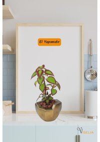 Evene Dekoratif Küçük Önü Açık Model Saksı Altın Eskitme