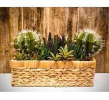 Euro Flora Dekoratif Seramik Saksı