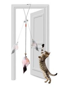 Petish Hareketli Sesli Tüylü Tırmalama Yavru Olta Kedi Oyuncağı