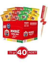 Oba Mie Karma Çeşnili Noodle 40x75 gr