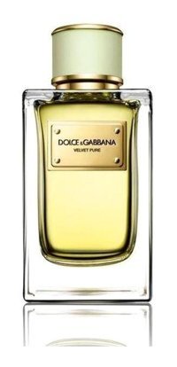Dolce & Gabbana Velvet Pure EDP Çiçeksi Kadın Parfüm 150 ml