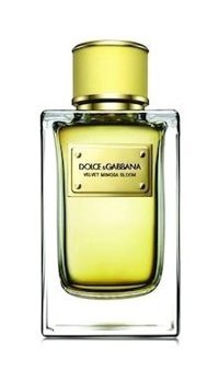 Dolce & Gabbana Velvet Mimosa Bloom EDP Çiçeksi Kadın Parfüm 150 ml