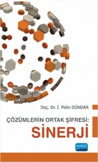 Çözümlerin Ortak Şifresi - Sinerji İ. Pelin Dündar Nobel Akademik Yayıncılık