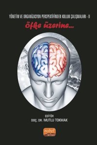 Yönetim ve Organizasyon Perspektifinden Kolluk Çalışmaları - 2 Kolektif Nobel Bilimsel Eserler