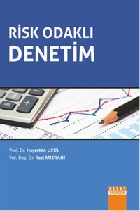 Risk Odaklı Denetim Hayrettin Usul Detay Yayıncılık