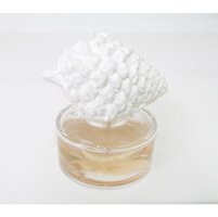 Missi Baharat Oda Kokusu 150 ml