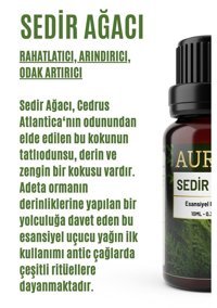 Auran Sedir Ağacı Oda Kokusu 10 ml