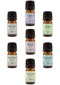 Minia Bahçe Tarçın Oda Kokusu 7x2.5 ml