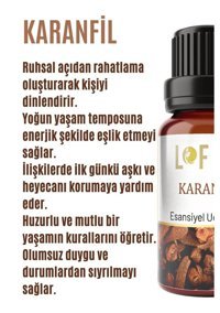 Lofty Karanfil Oda Kokusu 10 ml