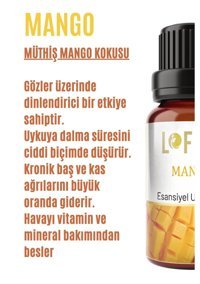 Lofty Mango Oda Kokusu 10 ml