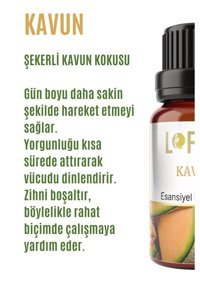 Lofty Kavun Oda Kokusu 10 ml