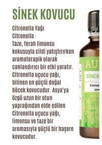 Auran Sinek Kovucu Oda Kokusu 30 ml