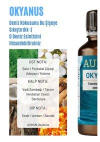 Auran Okyanus Oda Kokusu 30 ml