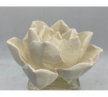 Missi Lotus Oda Kokusu 220 ml