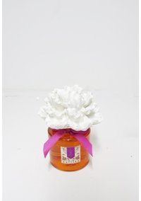 Missi Portakal Oda Kokusu 200 ml