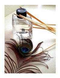 Bargello Mango Oda Kokusu 120 ml