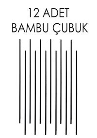 Naturix Oda Kokusu