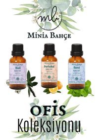 Minia Bahçe Portakal Oda Kokusu 10 ml