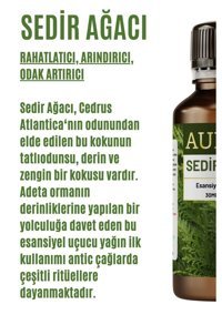 Auran Sedir Ağacı Oda Kokusu 30 ml