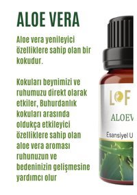 Lofty Aloe Vera Oda Kokusu 10 ml