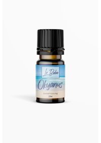 Le Balvo Okyanus Oda Kokusu 10 ml