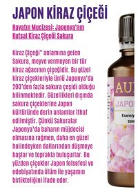 Auran Japon Kiraz Çiçeği Oda Kokusu 30 ml