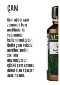 Auran Çam Ağacı Oda Kokusu 30 ml