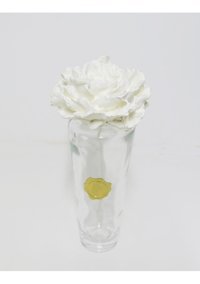 Missi Yasemin Oda Kokusu 400 ml