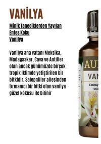 Auran Vanilya Oda Kokusu 30 ml