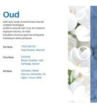 Carpex Oda Kokusu 125 ml