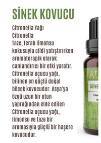 Auran Sinek Kovucu Oda Kokusu 10 ml